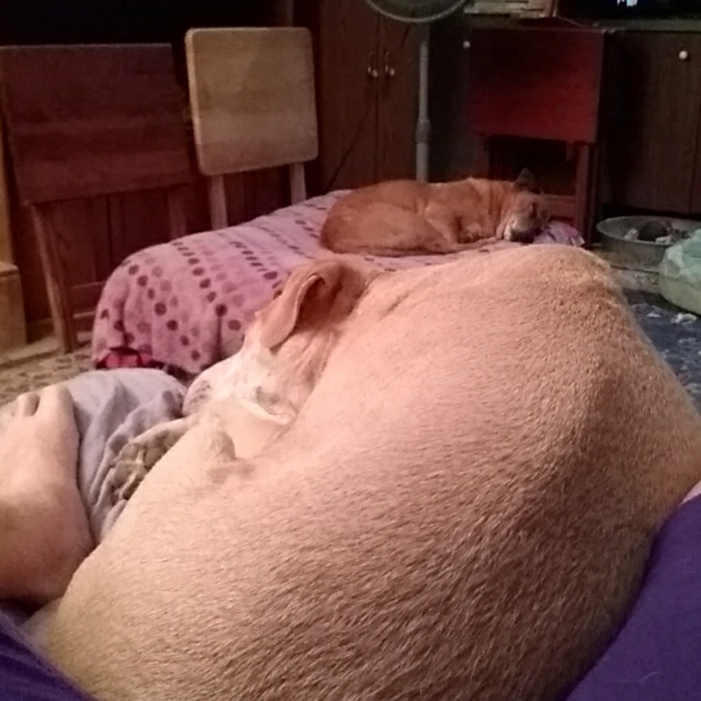 A couple of my babies!